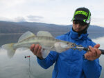 Hitfish Tukashine 8.9CM (3.5 inch), culoare R62 (7buc/plic) - imagine 22