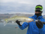 Hitfish Tukashine 8.9CM (3.5 inch), culoare R62 (7buc/plic) - imagine 19