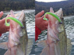 Damiki Armor Shade Paddle 10CM (4 inch), 448 (Flash Shad), 8buc/plic - imagine 9