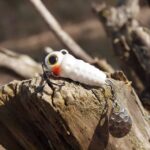 Spinmad spinnertail CRAZY BUG 4gr - imagine 16