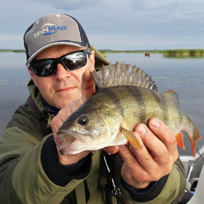 Spinmad spinnertail CRAZY BUG 6gr - imagine 18