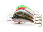 Gloog Parys 50N, 5cm, 5gr (Floating), RGF (Roach Green Fluo) - imagine 8