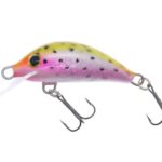 Gloog Hektor 35N, 3.5cm, 2gr (Floating), TR (Trout Rainbow)