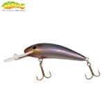 Gloog Kalipso 60SDR, 6cm, 4gr (Floating), RS (Roach Silver)