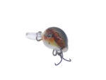 Vidra Lures Atomic Chub 1.8cm, 3gr, Sinking, TR (Trout) - imagine 5